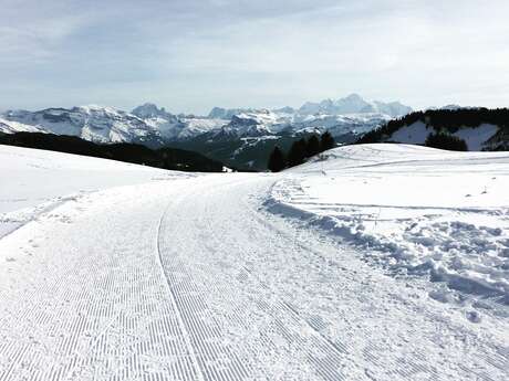 Guided hiking tour : Zen Attitude