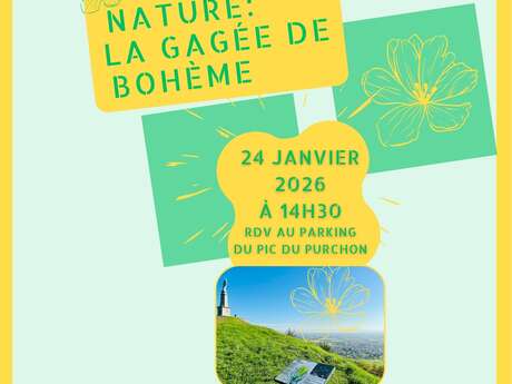 Sortie nature commentée "Piton basaltique et gagée de Bohème"