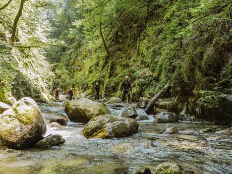 Initiation au canyoning pour les ADOS