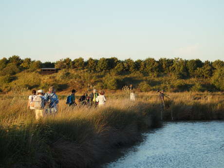 Sortie crépusculaire