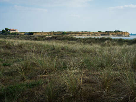 Guided tour: The 4 seasons of the Marais d'Yves nature reserve