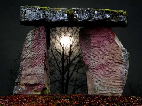 La loi des grands nombres : comment retrouver Pi avec des baguettes? - Conférence UPT