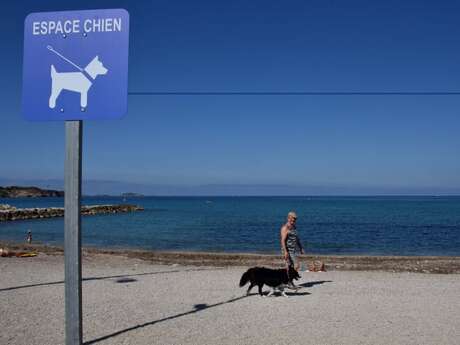 Plage pour chiens - Doggy Beach