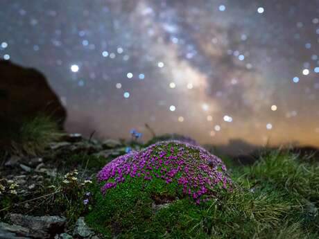 Stage photographie du ciel étoilé et paysage nocturne au Jardin du Lautaret