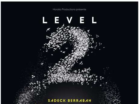 MURMURATION Level 2