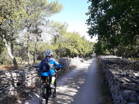 MTB Nr. 47 - Vom Calavon zum Col de Gordes