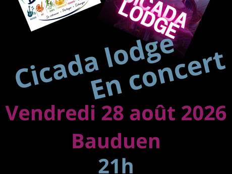 Cicada Lodge en concert