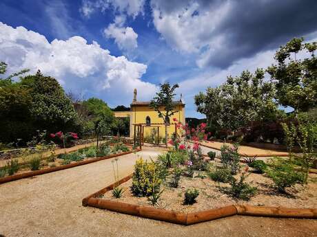 Discovering wild and medicinal plants