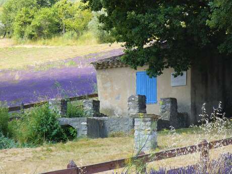Bastidon Paul Arène (Bastidon de la Cigalière)