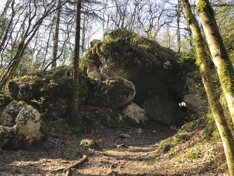 Balade ressourçante - Sur les traces du loup