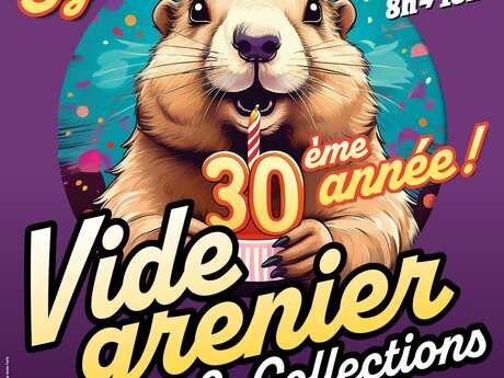 Vide Grenier & Collections