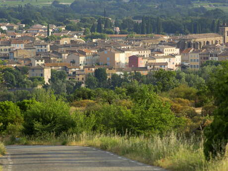 Le Mas des Bois - Le Fréjus