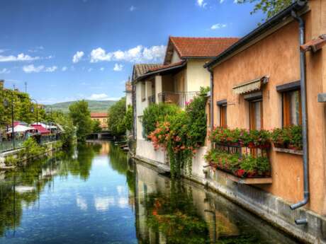Excursion en bus à l'Isle sur Sorgue