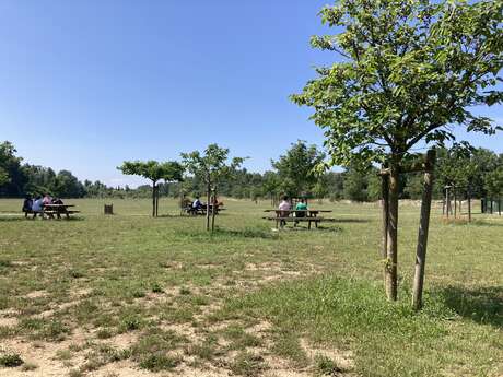 Base de loisirs au bord de la Viarhôna