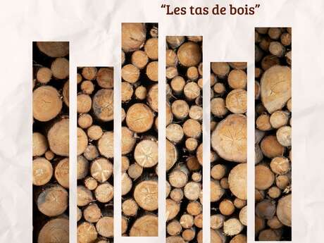 Exposition photos - Tas de bois