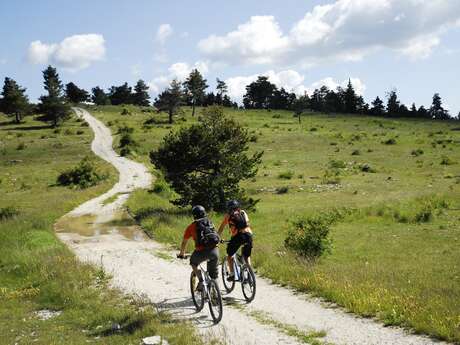Chemins du Soleil - De Tartonne à Saint-André-les-Alpes - Le Haut Verdon à VTT (A17)