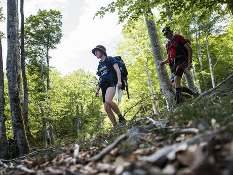 Parcours permanent de trail en orientation vert : La Verrerie - Saint-Nicolas-des-Biefs