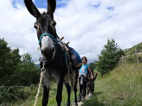 Donkey ride in the Orlu reserve