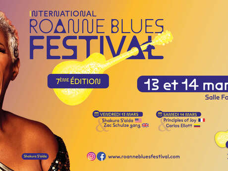 Roanne Blues Festival