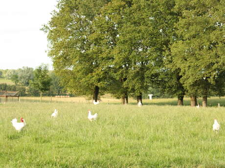 Ferme Bon Repos