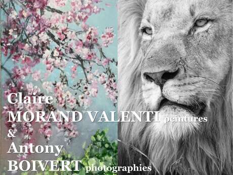 Exposition "De l'ombre à la lumière" Claire VALENTI & Antony BOIVERT
