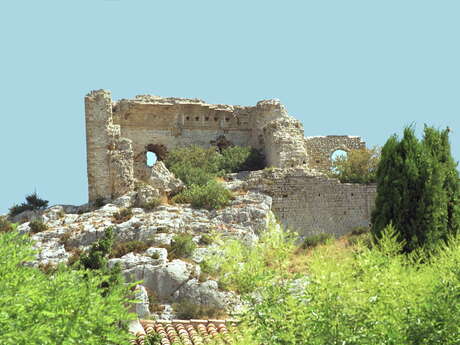 De la Crau aux Alpilles