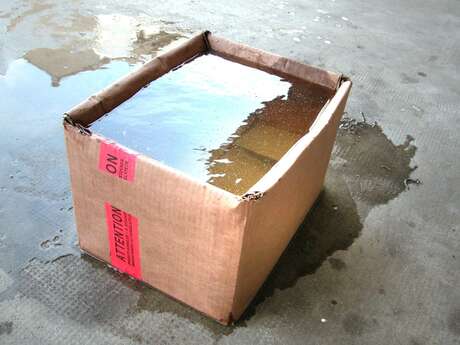 Exposition : La résistance des matériaux