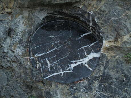 Les Fenêtres d'herman de vries