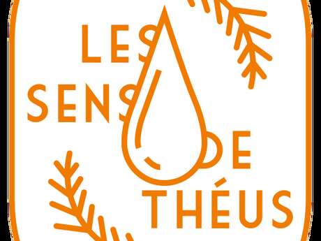 The Senses of Theus
