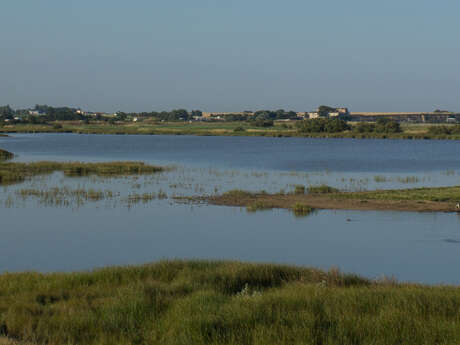 Nationales Naturreservat des Sumpfes von Yves
