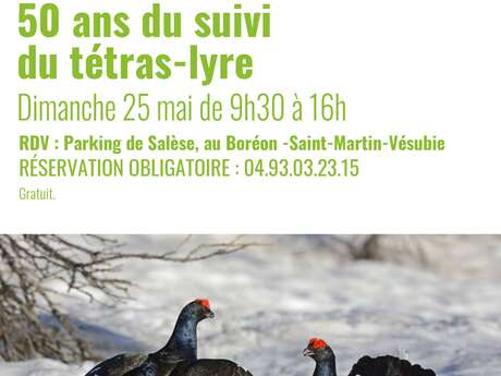 Sortie nature - 50 ans du suivi du tétras-lyre