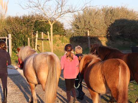 Cours et stage aux petites Écuries de Vasco