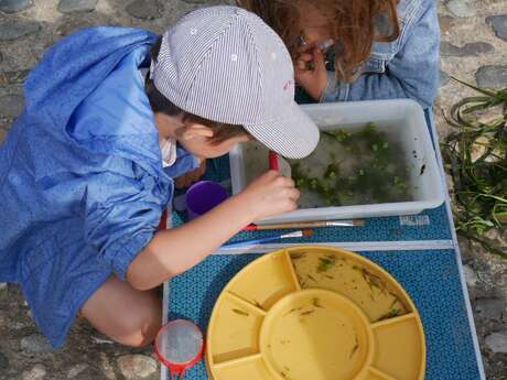 Atelier "Le Petit scientifique"