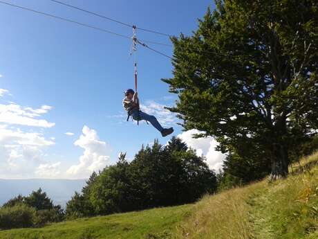 Birthday party -  Zip wire and workshop in the trees