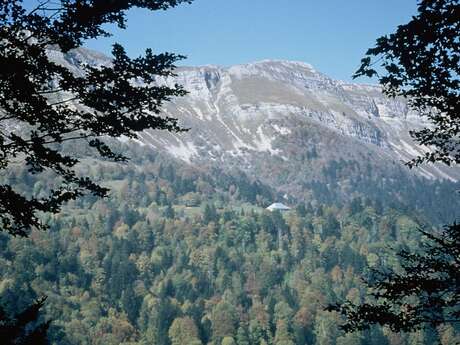 Nature activity: Reading the landscape