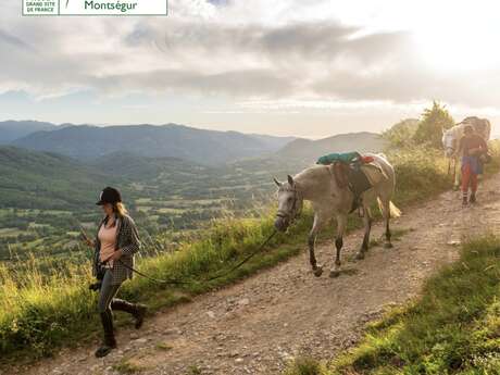 Excursion à cheval au coeur de la forêt