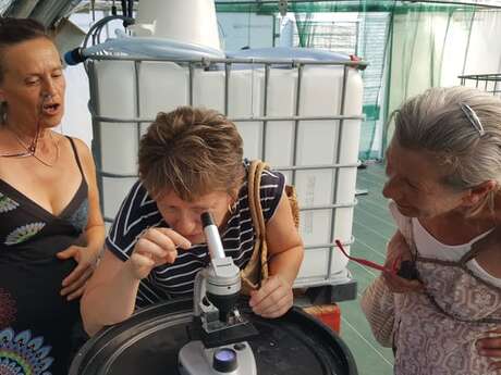 Visite de la ferme et dégustation : Spiruline de Ners