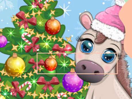 Weihnachtspraktikum "Rund um die Ponys" speziell für Kinder von 4 bis 11 Jahren