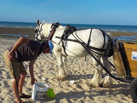 Nettoyage des plages - Plage de Basse-Benaie