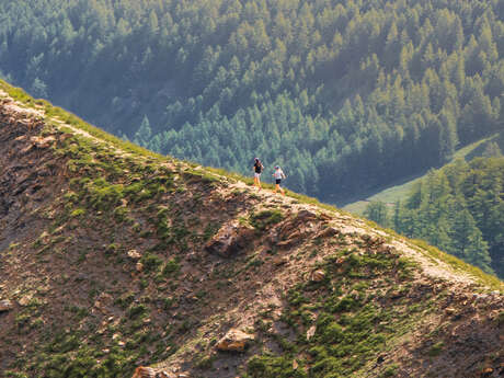 Parcours Trail - La Méa "Découverte"