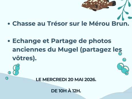 Schatzsuche auf der Braunen Zackenbarsch