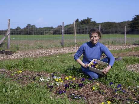 Violette et capucine, producer of flowers and edible plants
