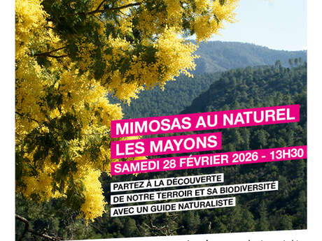 Balade commentée "Mimosas au naturel" aux Mayons