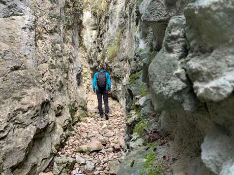 BÉDOIN - Combe de Curnier