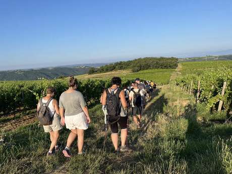 Rando wine (domaine L. Bertrand)