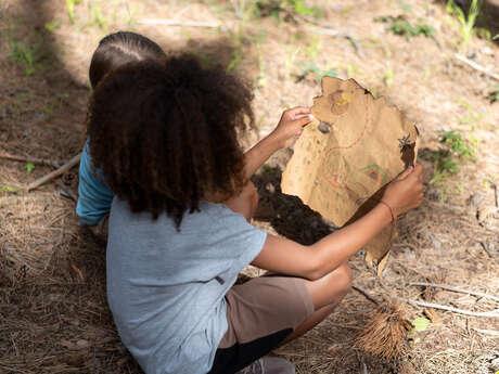 Chasse au trésor - Jungle Aventure