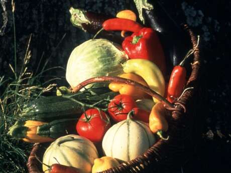 Les volailles de Carole