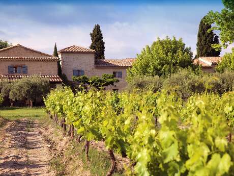 Gîte des Amis - Domaine de Mas Caron