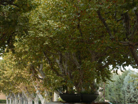 Fontaine du Cours des Héros