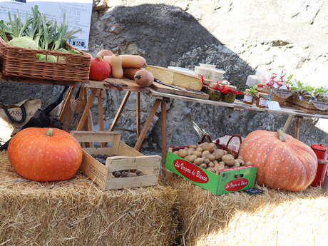 Local producers' market